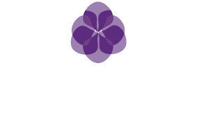 Orquídea Eventos